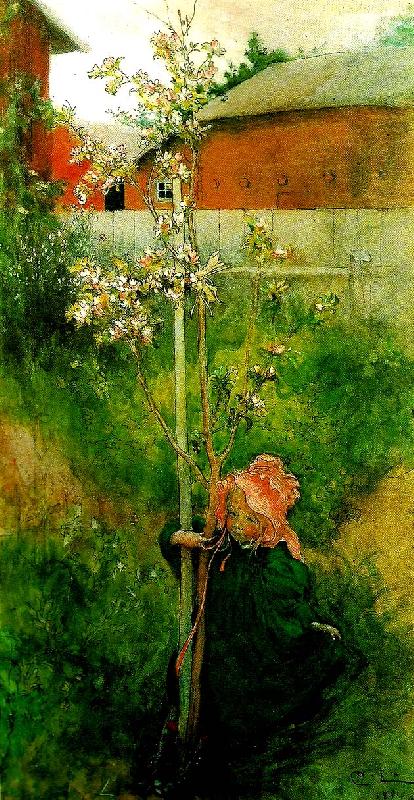Carl Larsson kring appeltradet-appelblom china oil painting image